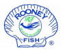 image for Rooney Fish