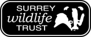 image for Surrey Wildlife Trust