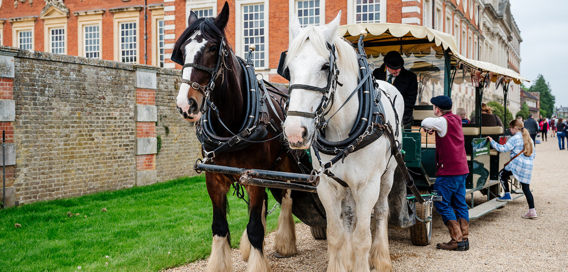 Family Fun at Hampton Court Palace 2023