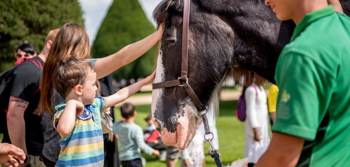 Family Fun at Hampton Court Palace 2021