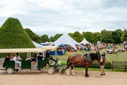 Horse & Cart rides