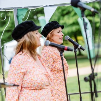 Music at the Bandstand image